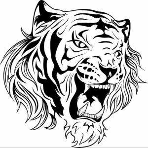 وکتور شیر